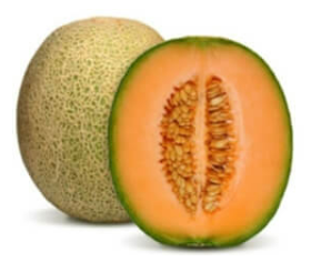 カンタロープメロン