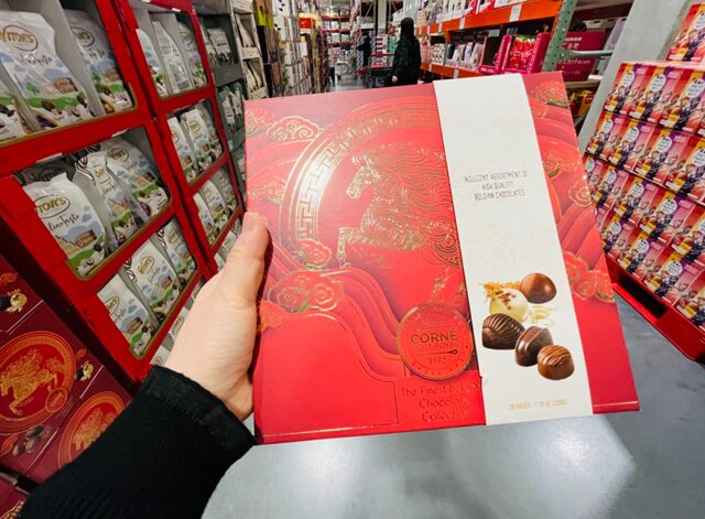 コストコゴコルネポートロイヤル エンチャンテッドボックスの箱を手に取る 大きさ 1939969