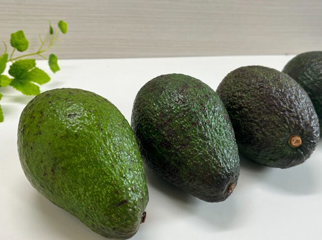 5個のコストコアボカドを並べ、手前から奥にかけて緑から茶色へと熟度の違いがわかる比較。手前は固く、奥ほど柔らかく熟した状態【商品番号47019】」