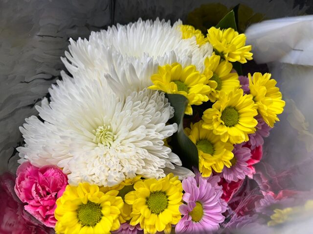 コストコの仏花 パターン2：大型菊入り（白・ピンク・黄色の小菊）。豪華な大型菊2本（直径約10cm）と、ピンクのカーネーション2本を含む、華やかで美しい仏花。小菊とのバランスが絶妙な一束
