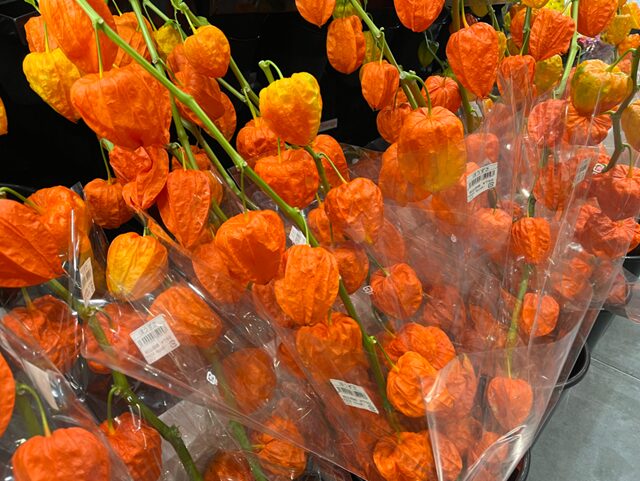 コストコの生花 ほおずき。鮮やかなオレンジ色の実が特徴的なほおずき。秋の装飾やお祝いにぴったりな、華やかな一品