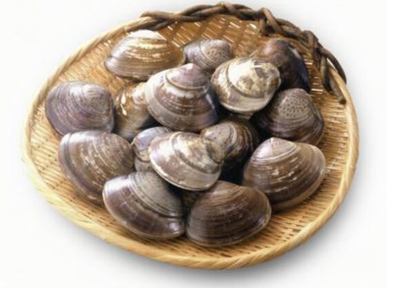 コストコ ハマグリ95663を籠に並べた写真