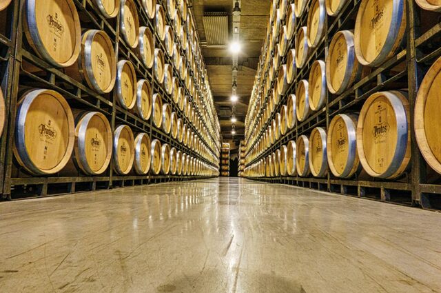 ワイン醸造場 オーク樽が倉庫にたくさん積んである様子