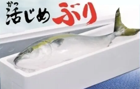 コストコ 活じめぶり丸物95730