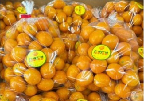 コストコ 完熟金柑たまたま 1kg 51908