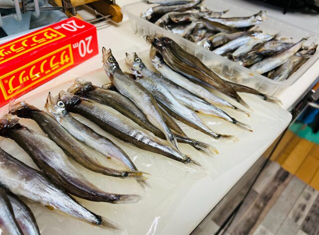まな板の上に並べた62匹のコストコ 子持ちからふとししゃも