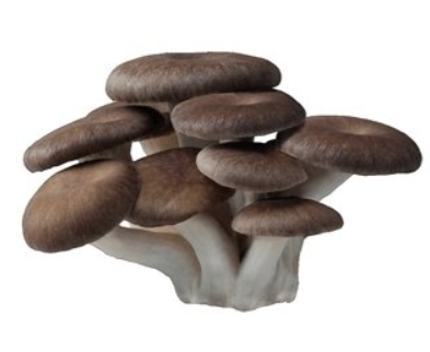 コストコ 霜降りひらたけ592655